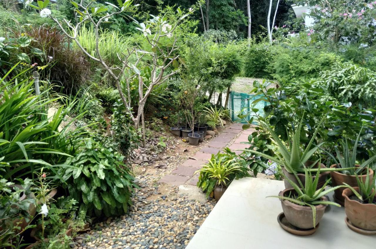 Perfect Sea View Mountain Villa Koh Samui หาดเฉวง ภายนอก รูปภาพ