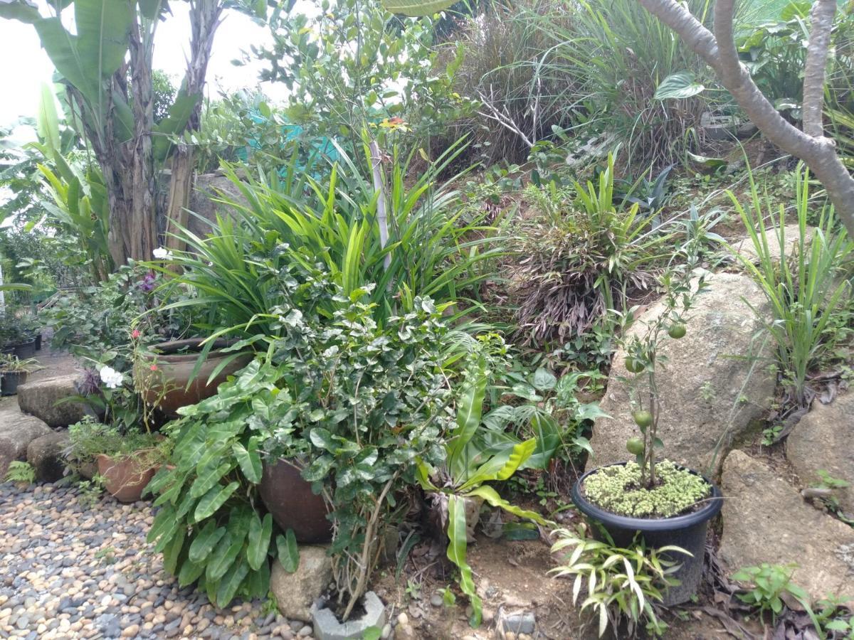 Perfect Sea View Mountain Villa Koh Samui หาดเฉวง ภายนอก รูปภาพ